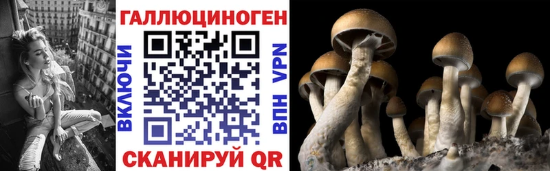 Купить где  Сунжа  Галлюциногенные грибы прущие грибы 