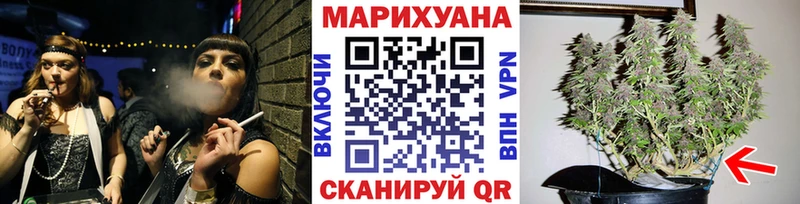 Каннабис конопля Сунжа